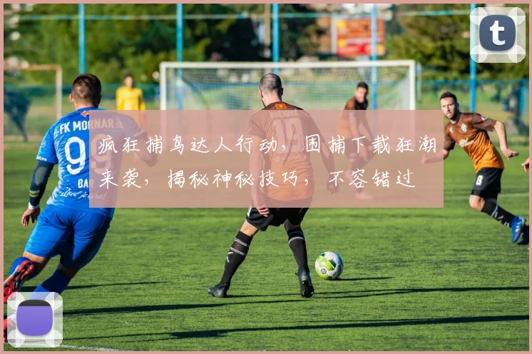 疯狂捕鸟达人行动，围捕下载狂潮来袭，揭秘神秘技巧，不容错过